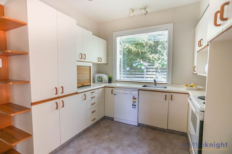 Photo of property in 48 Tui Street, Fendalton, Christchurch, 8041