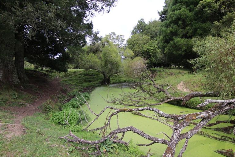 Photo of property in 1159 Kanakanaia Road, Whatatutu, Te Karaka, 4091