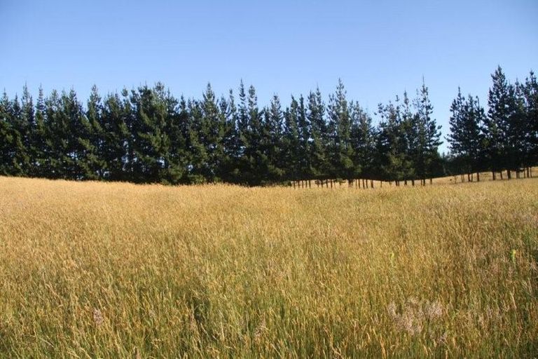 Photo of property in 4805c Far North Road, Houhora, Kaitaia, 0484