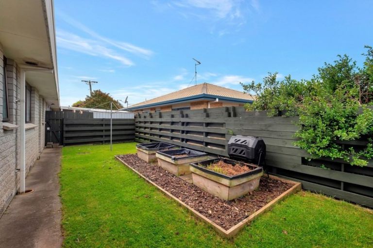 Photo of property in 122b Fourteenth Avenue, Tauranga South, Tauranga, 3112
