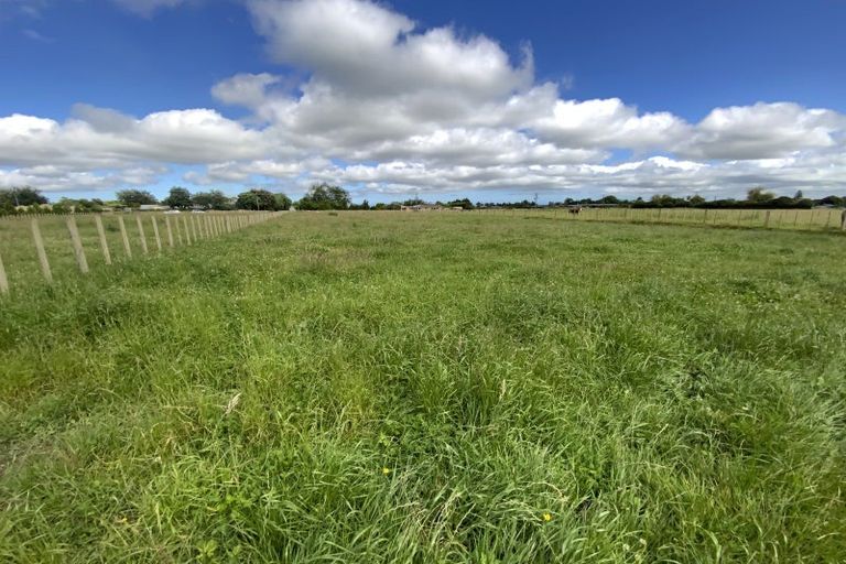 Photo of property in 169 Gladstone Road, Levin, 5571