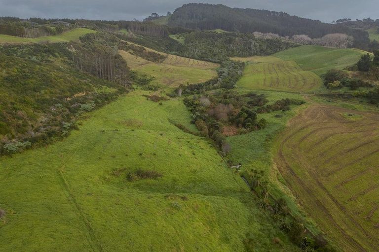 Photo of property in 89 Purangi Road, Purangi, Whitianga, 3591