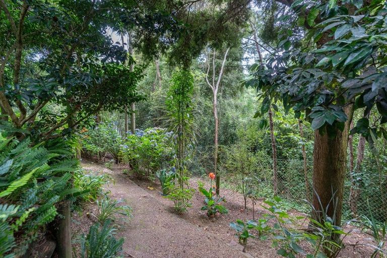 Photo of property in 6 Deborah Place, Dinsdale, Hamilton, 3204