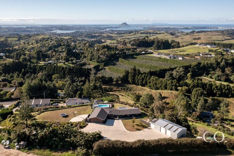 Photo of property in 51c Neewood Road, Ohauiti, Tauranga, 3173