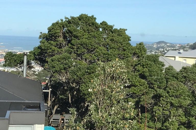 Photo of property in 3 Upoko Road, Hataitai, Wellington, 6021