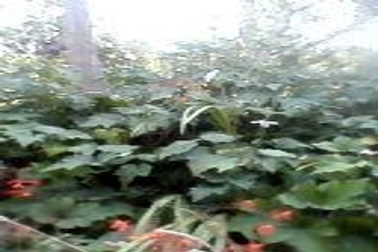 Photo of property in 6 Severn Street, Waitotara, Whanganui, 4588