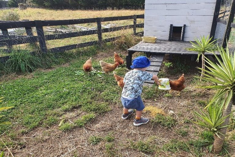 Photo of property in 125b Hickford Road, Foxton, 4893