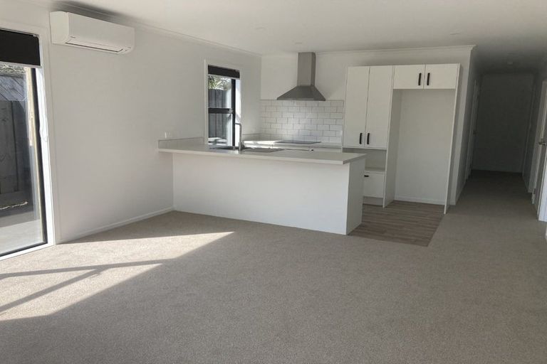 Photo of property in 101a Harrowfield Drive, Harrowfield, Hamilton, 3210