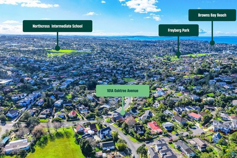 Photo of property in 101a Oaktree Avenue, Browns Bay, Auckland, 0630