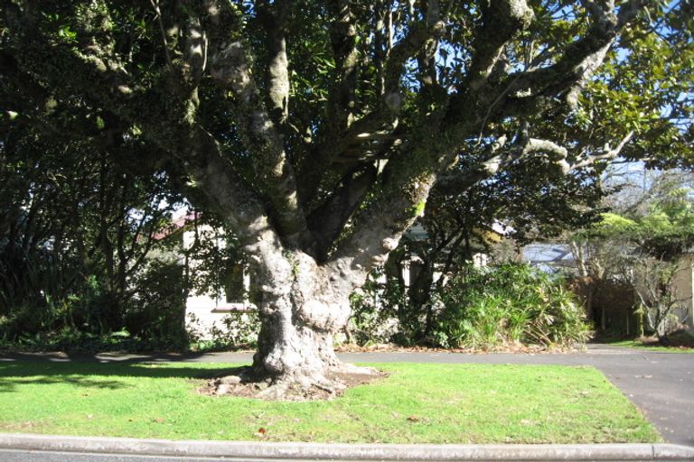 Photo of property in 7 George Street, Claudelands, Hamilton, 3214