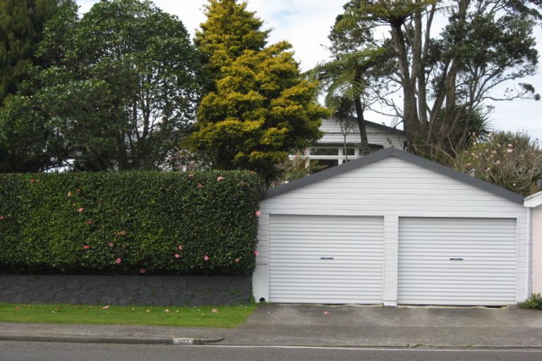 Photo of property in 407 Carrington Street, Upper Vogeltown, New Plymouth, 4310