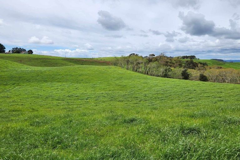 Photo of property in 697 Maungatawhiri Road, Raglan, 3295