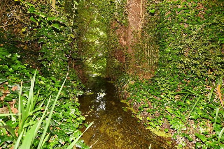 Photo of property in 351 Bradleys Road, Ohoka, Kaiapoi, 7692