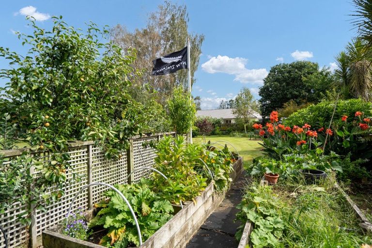 Photo of property in 20 Cowley Drive, Leamington, Cambridge, 3432