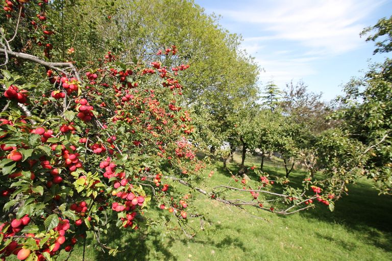 Photo of property in 32 Paterson Road, Mosgiel, 9092