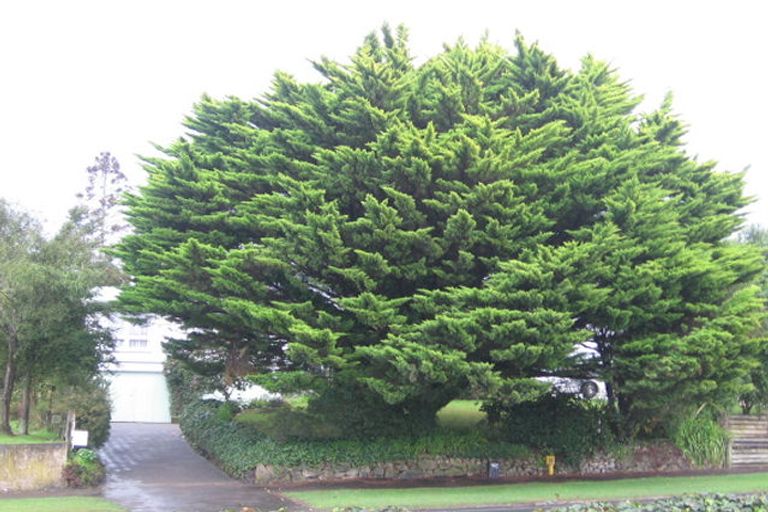 Photo of property in 136 Ohaupo Road, Melville, Hamilton, 3206