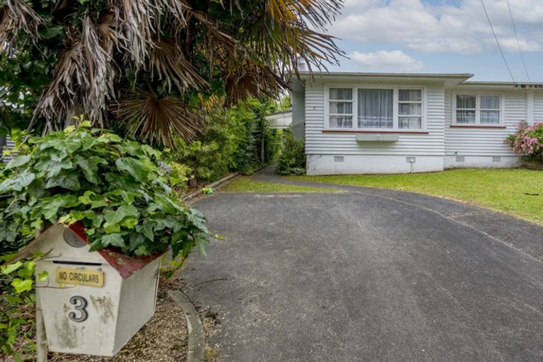 Photo of property in 3 Churchill Street, Levin, 5510