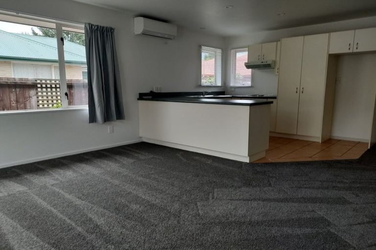 Photo of property in 57a Opawa Road, Waltham, Christchurch, 8023