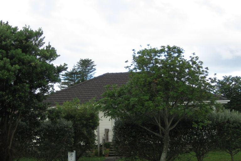 Photo of property in 1b Newcastle Terrace, Mount Albert, Auckland, 1025