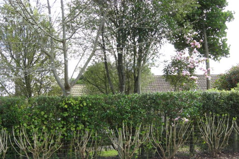 Photo of property in 32 Wi Pere Street, Manakau, 5573