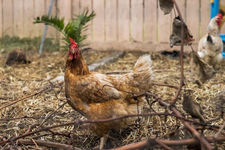 Photo of property in 2 Rere Place, Parakai, 0830