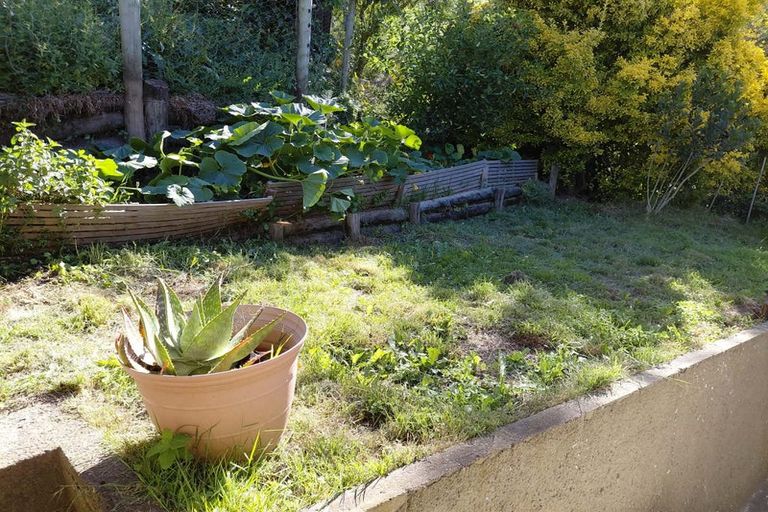 Photo of property in 41 Sowman Street, The Brook, Nelson, 7010