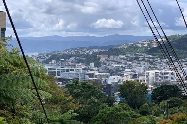 Photo of property in 70 Fairlie Terrace, Kelburn, Wellington, 6021