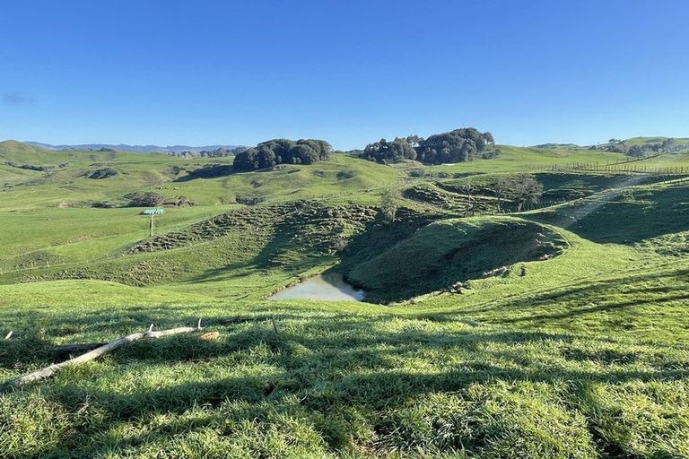 Photo of property in 80a Mangaotaki Road, Piopio, 3971