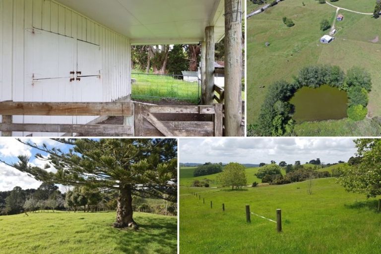 Photo of property in 535 Whakapirau Road, Whakapirau, Maungaturoto, 0583