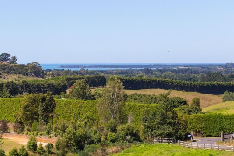 Photo of property in 225b Woodland Road, Tahawai, Katikati, 3170