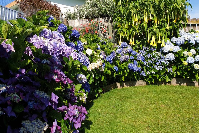 Photo of property in 12a Koutunui Road, Athenree, Katikati, 3177