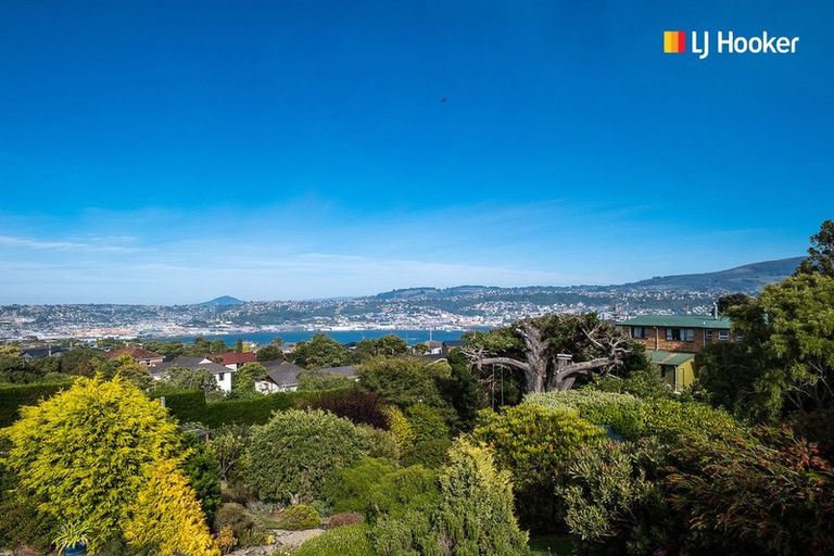 Photo of property in 115 Belford Street, Waverley, Dunedin, 9013