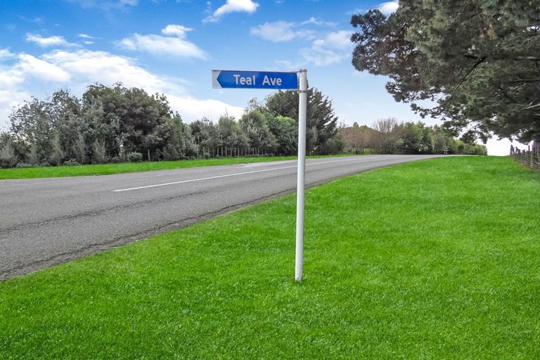 Photo of property in 17c Teal Avenue, Feilding, 4775