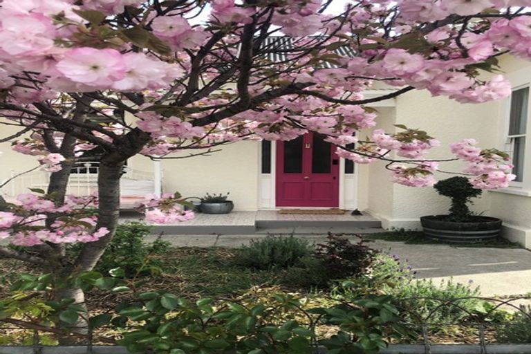 Photo of property in 12 Fastnet Street, Alexandra, 9320