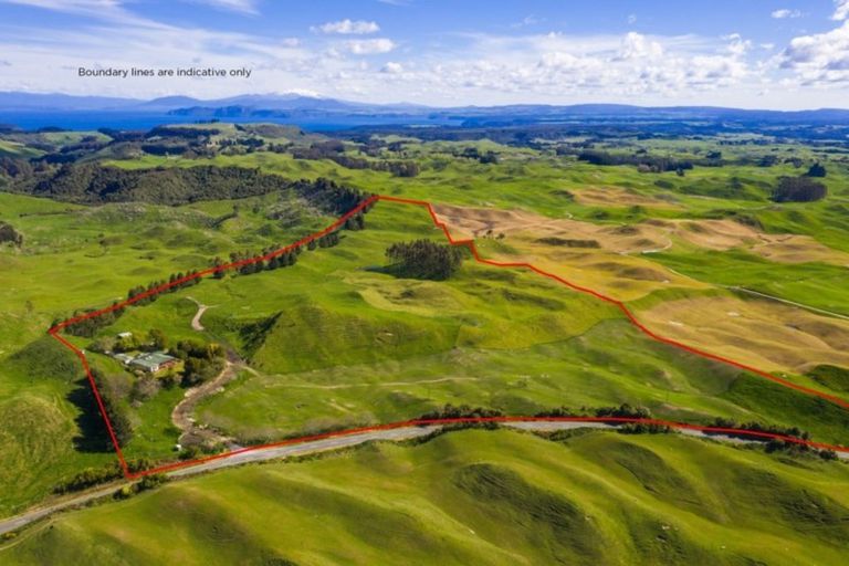 Photo of property in 473 Otake Road, Marotiri, Taupo, 3377