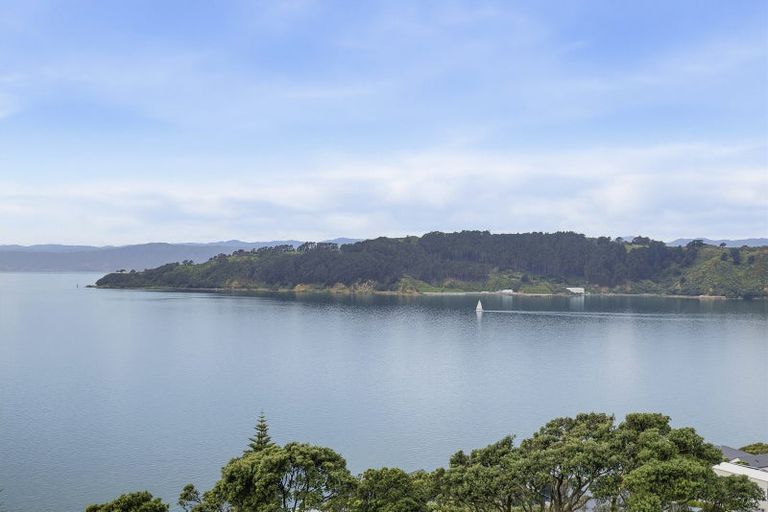 Photo of property in 29 Grafton Road, Roseneath, Wellington, 6011