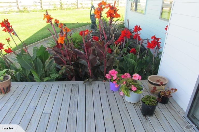 Photo of property in 3 Allan Road, Awhitu, Waiuku, 2684