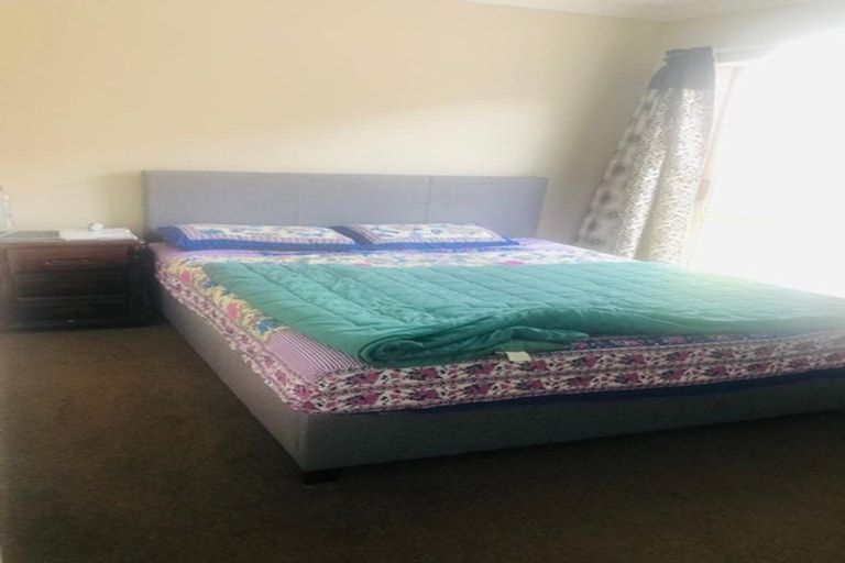 Photo of property in 41 Carrick Glen Avenue, Flat Bush, Auckland, 2019