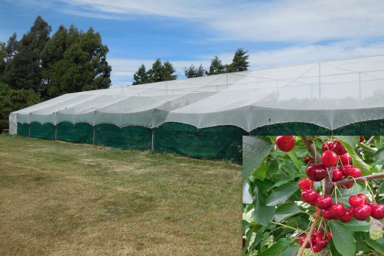 Photo of property in 46 Torlesse Road, West Melton, Christchurch, 7671