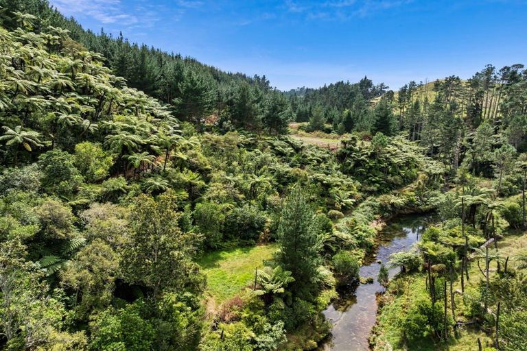 Photo of property in 371 Esdaile Road, Whakamarama, Tauranga, 3180