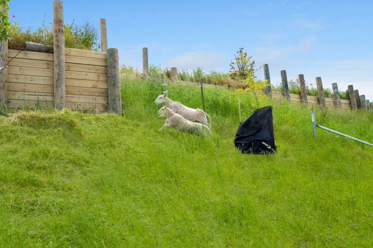 Photo of property in Beach Road, South Hill, Oamaru, 9400