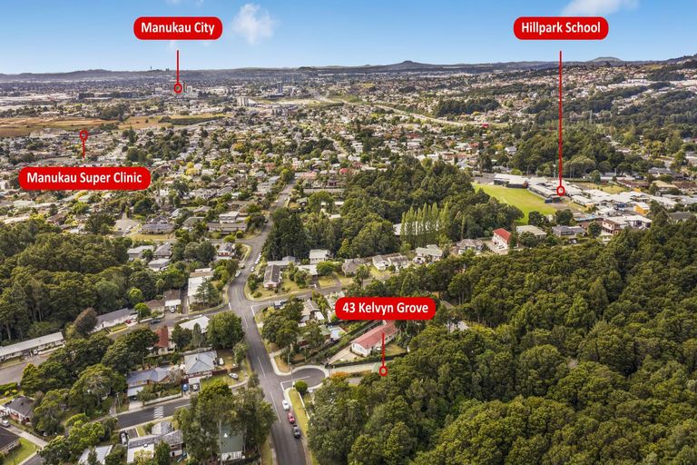 Photo of property in 43 Kelvyn Grove, Hillpark, Auckland, 2102
