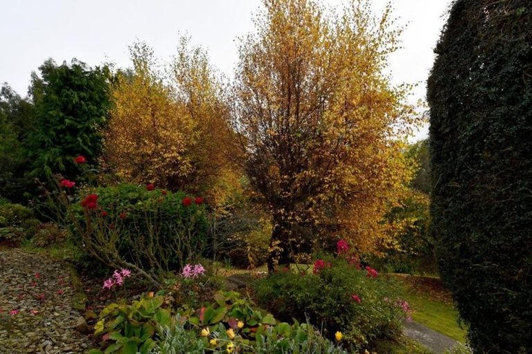 Photo of property in 15 Auskerry Street, Palmerston, 9430