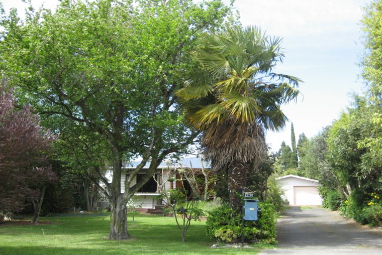 Photo of property in 162 Muller Road, Blenheim, 7201