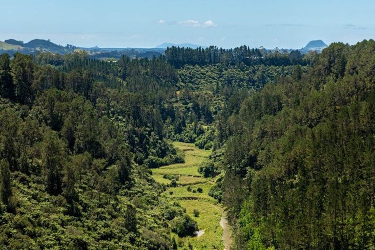 Photo of property in 429 Omanawa Road, Omanawa, Tauranga, 3171