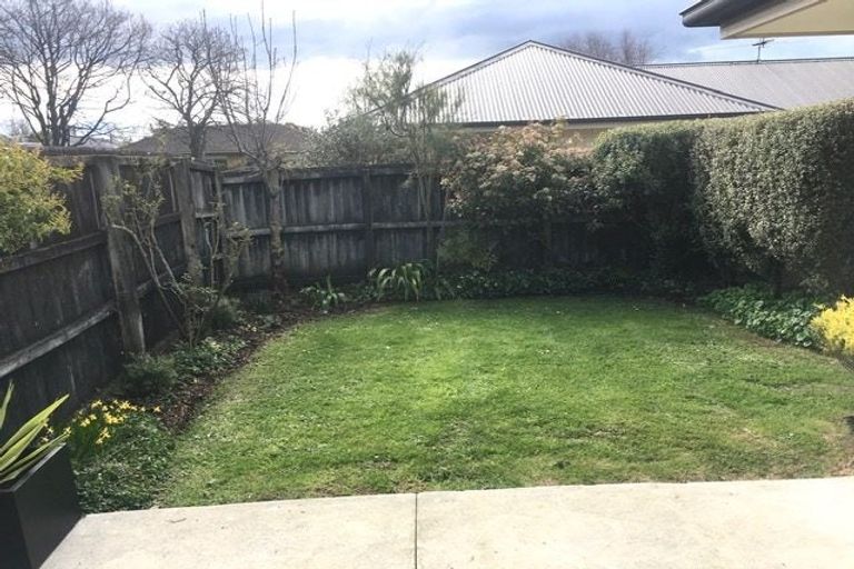 Photo of property in 8d Albert Terrace, Saint Martins, Christchurch, 8022