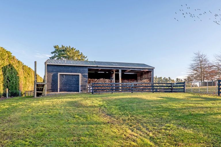 Photo of property in 219 Marshmans Road, Ashley, Rangiora, 7477