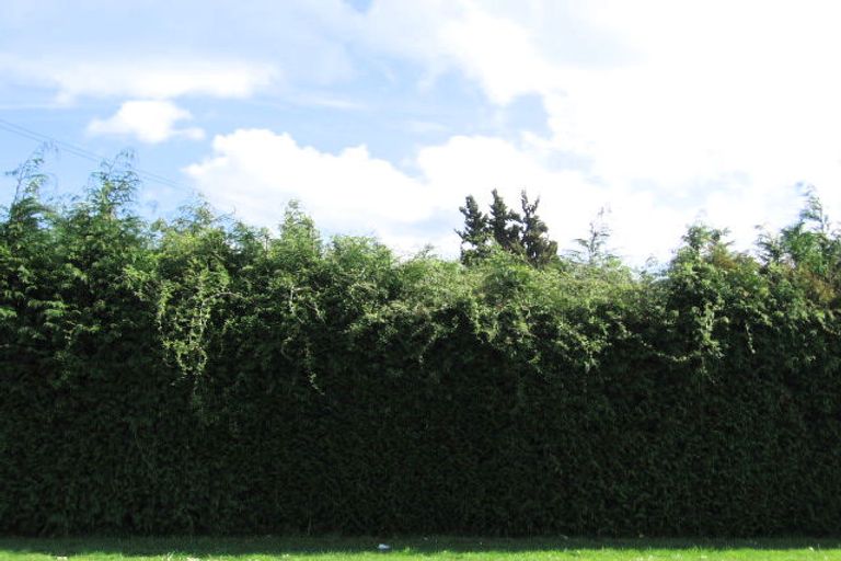 Photo of property in 91 Ngongotaha Road, Ngongotaha, Rotorua, 3010