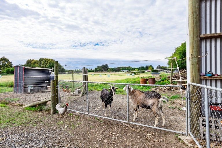 Photo of property in 254 Scott Street, Kingswell, Invercargill, 9877