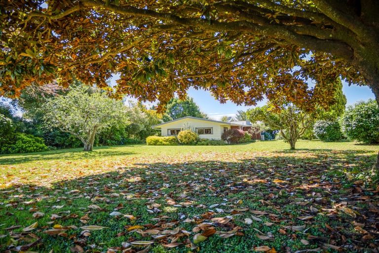 Photo of property in 5 Oripiro Road, Kerikeri, 0230